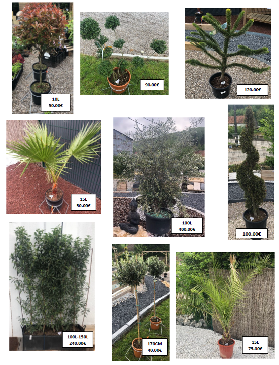 fleurs sur site 1png